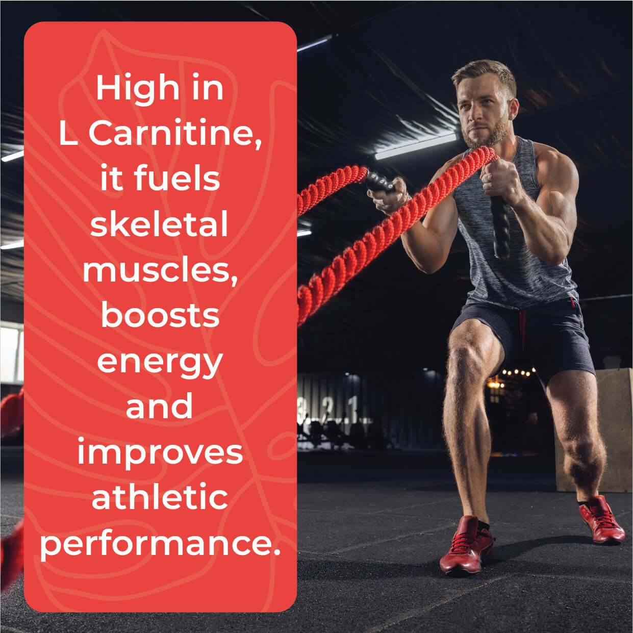 Boldfit L-Carnitine L-Tartrate 1000mg supplement